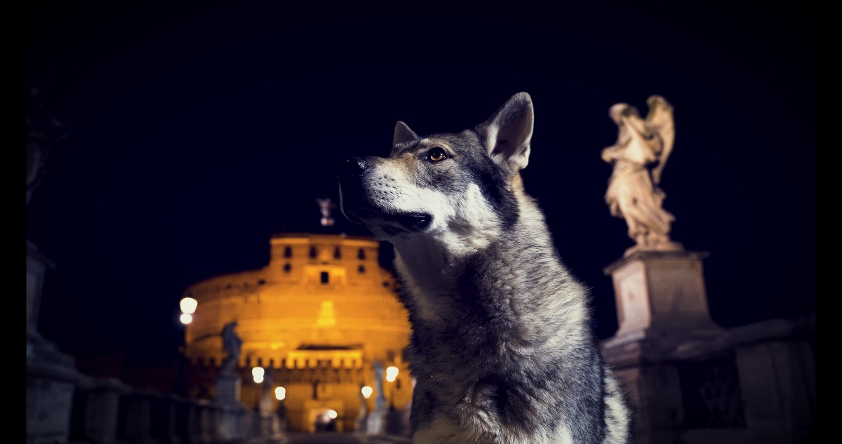 Urbe. Tavola rotonda su Roma e la sua evoluzione